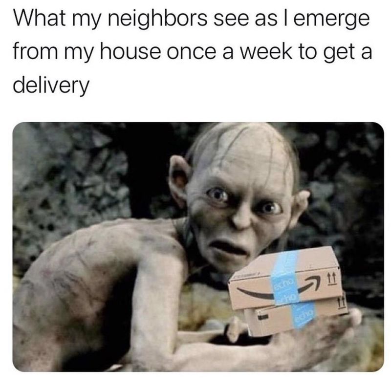 My neighbors see gollum emerge from my house to pick up Amazon boxes
